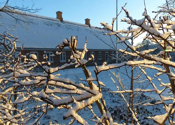 Hesselhogaard Bed & Breakfast Grindsted
